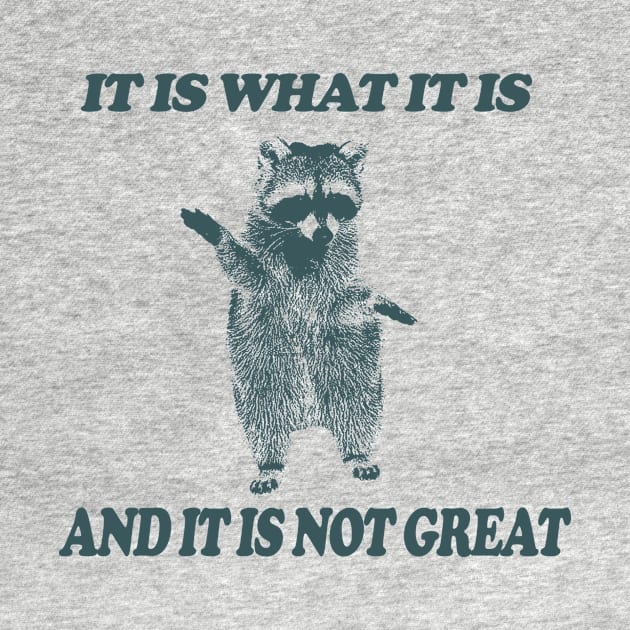 It Is What It Is And It Is Not Great - Vintage Drawing T Shirt, Raccoon Meme T Shirt, Funny Y2K Tee Shirt, Unisex Tee by Hamza Froug